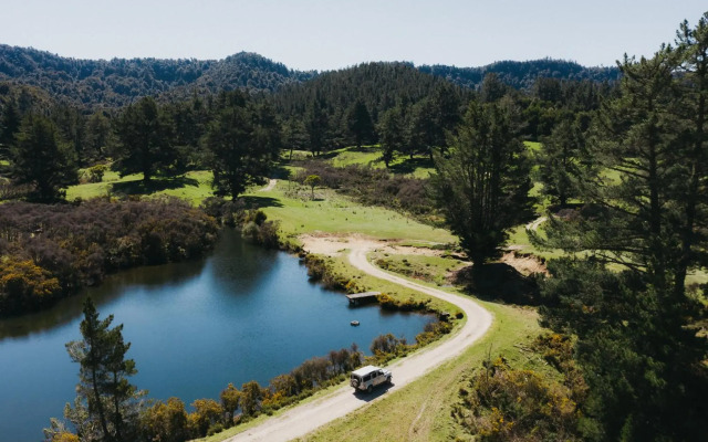 Treetops Lodge & Estate