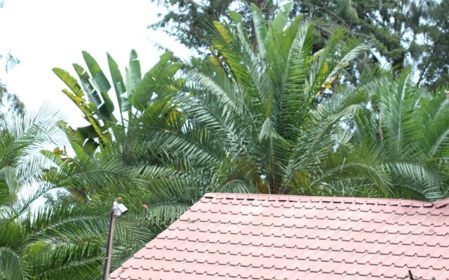 Tranquil homestays