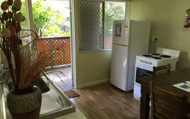 Coconut Palms on the Bay