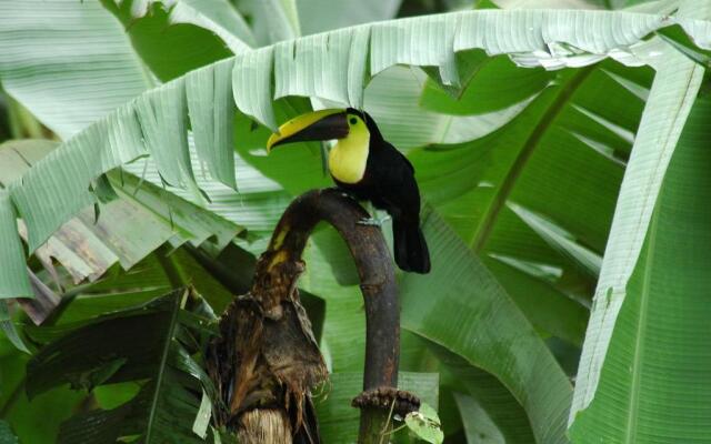 Heliconias Nature Lodge