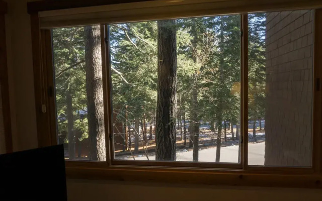 4081 Ski Trails