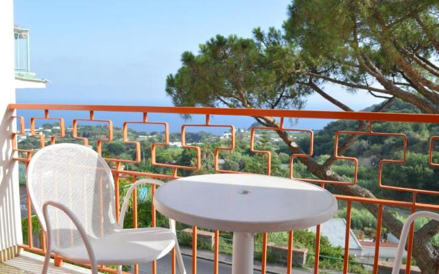 Hotel Polito