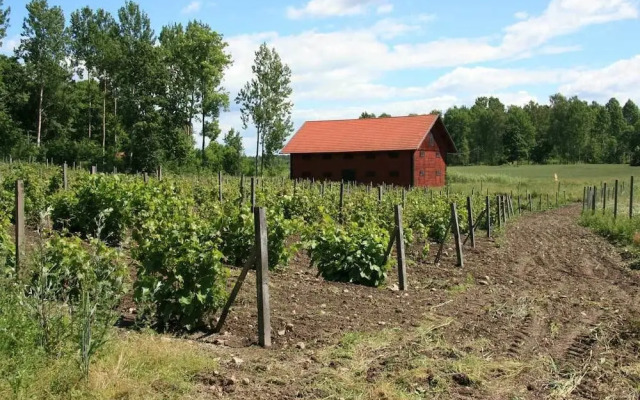 Blaxsta Vingård