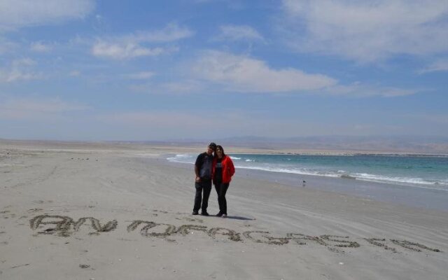 Los Salares