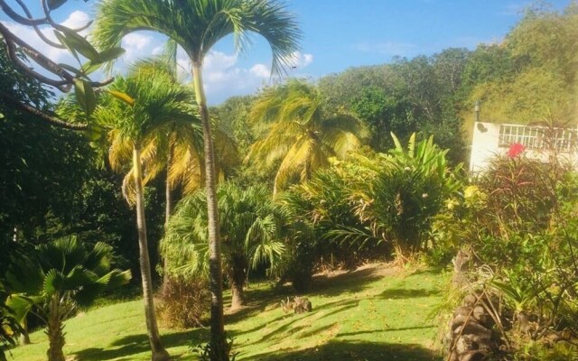Sea Song Caribbean Villa