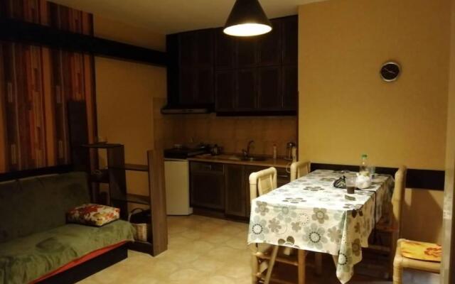 Amazing flat in Gudauri, 5 minutes walk to slopes!