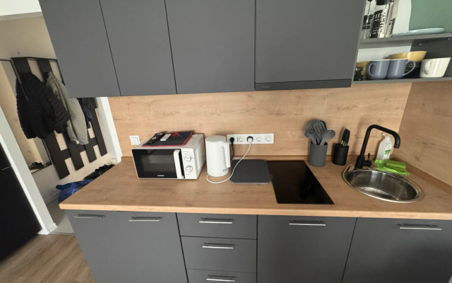 Апартаменты студия на улице Академика Павлова 56к1