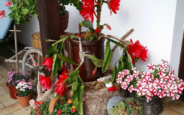 Pension Staufenhof