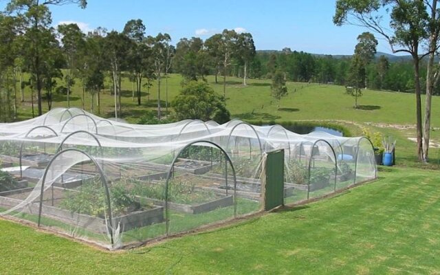 Rural Executive Holiday House @ Lavender Grove Farm