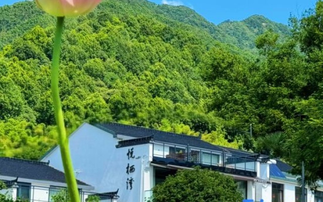 Yueqiwan·Beautiful Light and Shadow Light Luxury and Zen·Shanju Healing Courtyard "Jiuhuashan – Outside – Chizhou