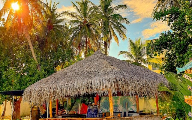 Seven Corals Guest house