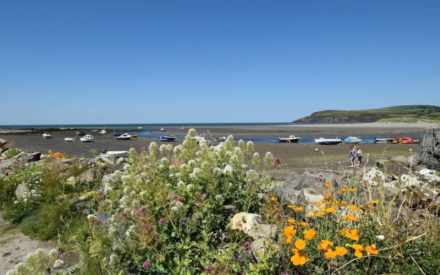 Ty Cariad