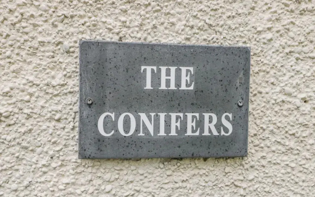 The Conifers