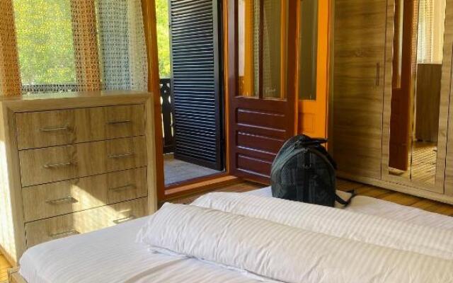 Casa de Vacanta Diana Moneasa