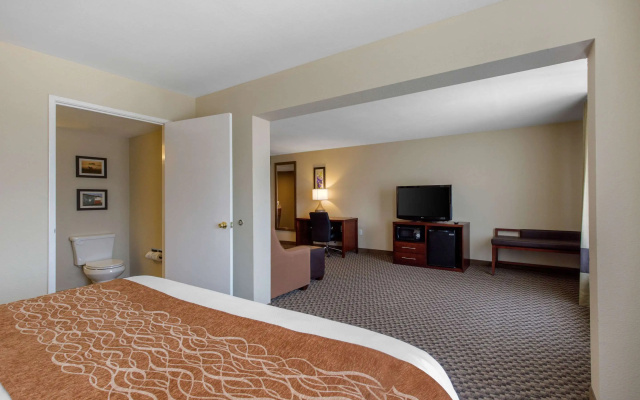 Comfort Inn & Suites SW Houston Sugarland