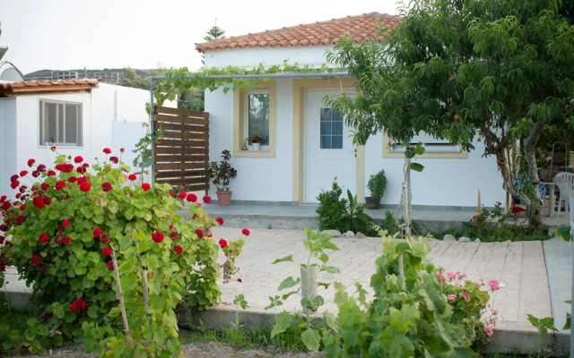 Level Houses