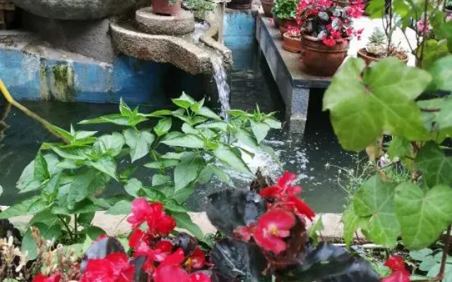 Yuan Yuan Yuan Inn, Lijiang