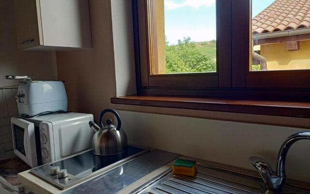 Vite diPinte 1 bilocale in langa