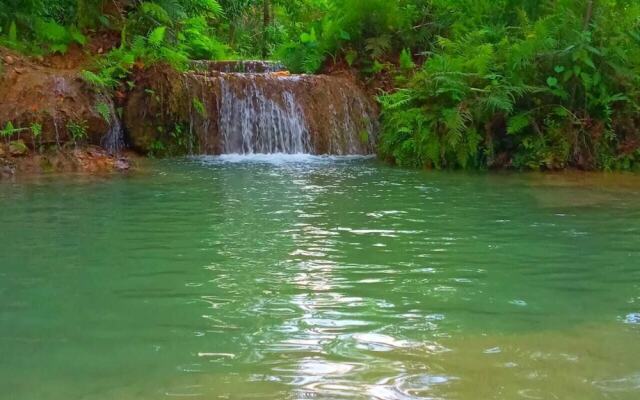 Room in Cabin - Sierraverde Cabins Huasteca Potosina