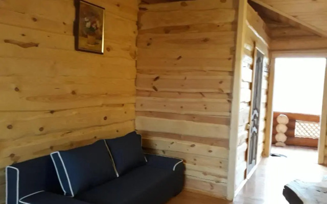 Cottage Radomyshl'