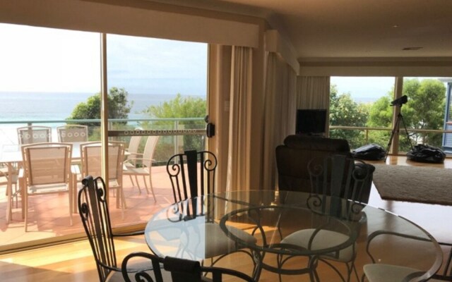 Day Dreaming On Donlan