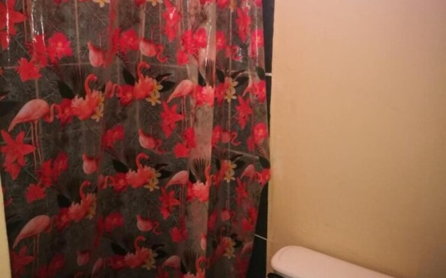 Guesthouse Morpho CR