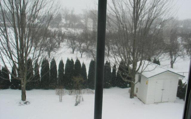 Arnica Bed & Breakfast