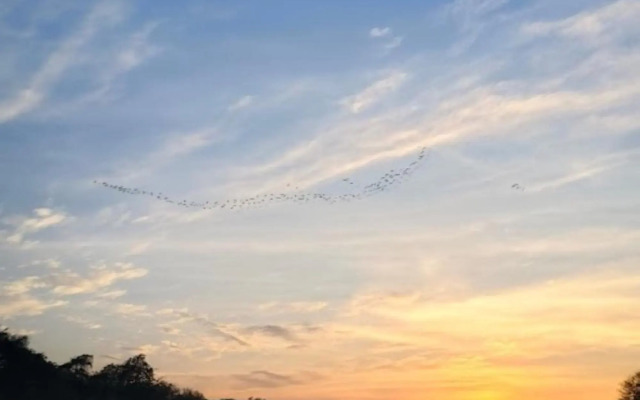 Taste Of Hampi Stay at Adventure