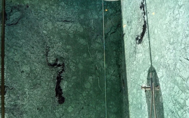 Santa Monica Holiday House