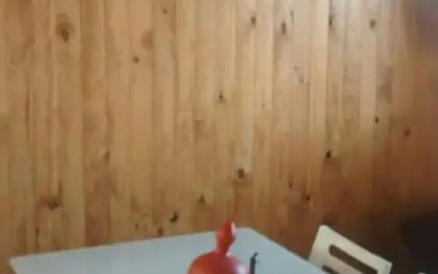 Cabanas Patricia en Horcon