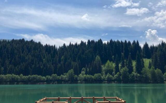 Savsat Karagol Hotel