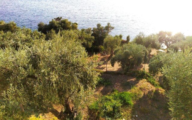 Villa Leonidas GreeceFiloxenia