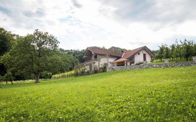 Holiday home in Smarjeske Toplice Kranjska Krain 42904