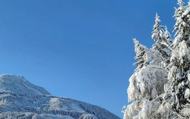 Penthouse in Wildkogel With Mountain Views