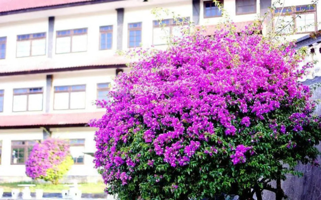 Puri Bening Lake Front Hotel