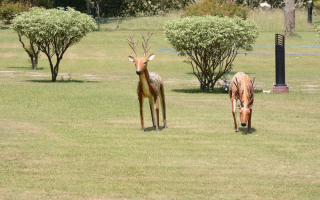 Naturoville Vedic Retreat