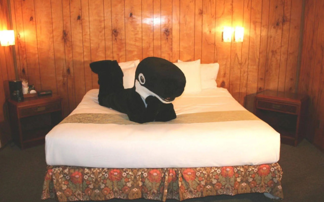 The Orca Inn