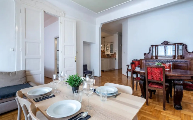 Huge Apartment in the city center