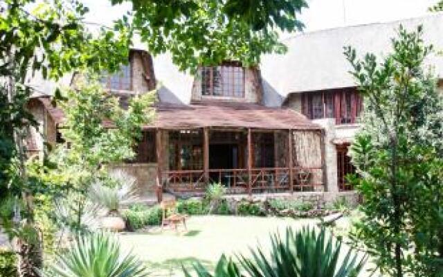 Lazy lion African Art Thatch House