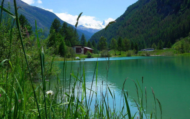Aparthotel Monte Rosa - Tasch