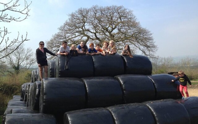 The Mill House at Cwmiar Farm - Relaxing Holidays