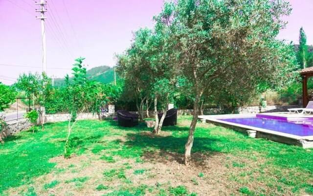 BO074 by Villaofsummer