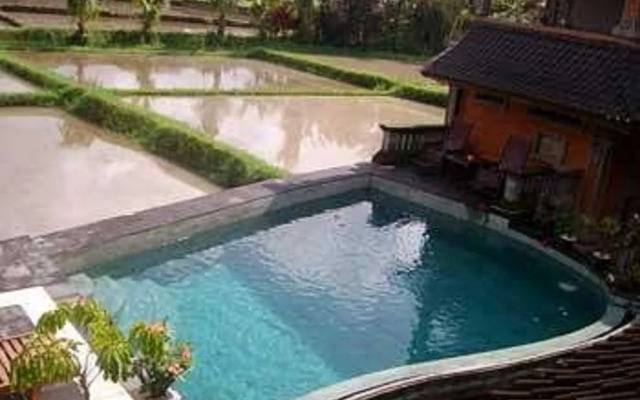 Ala's Green Lagoon Hotels