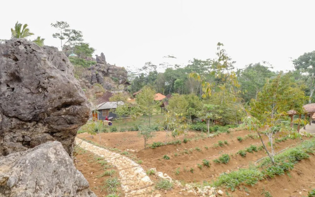 Omah Watu Blencong