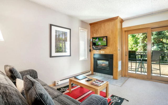 Lift House Lodge, Pet Friendly Studio Condo