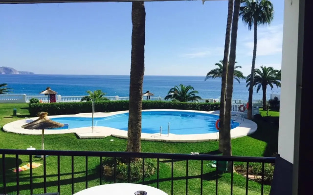 Palmeras 43 Menyber