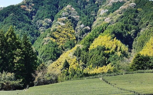 Yui Valley
