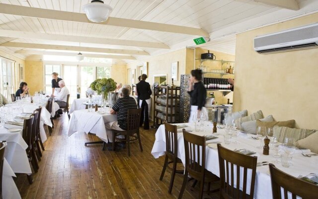 Mayfield Vineyard