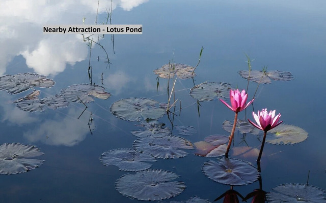 Royal Emirates by OYO Rooms