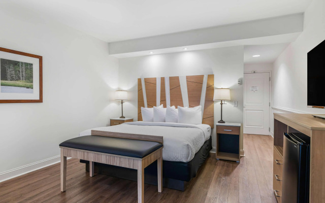 Best Western Plus Westgate Inn & Suites